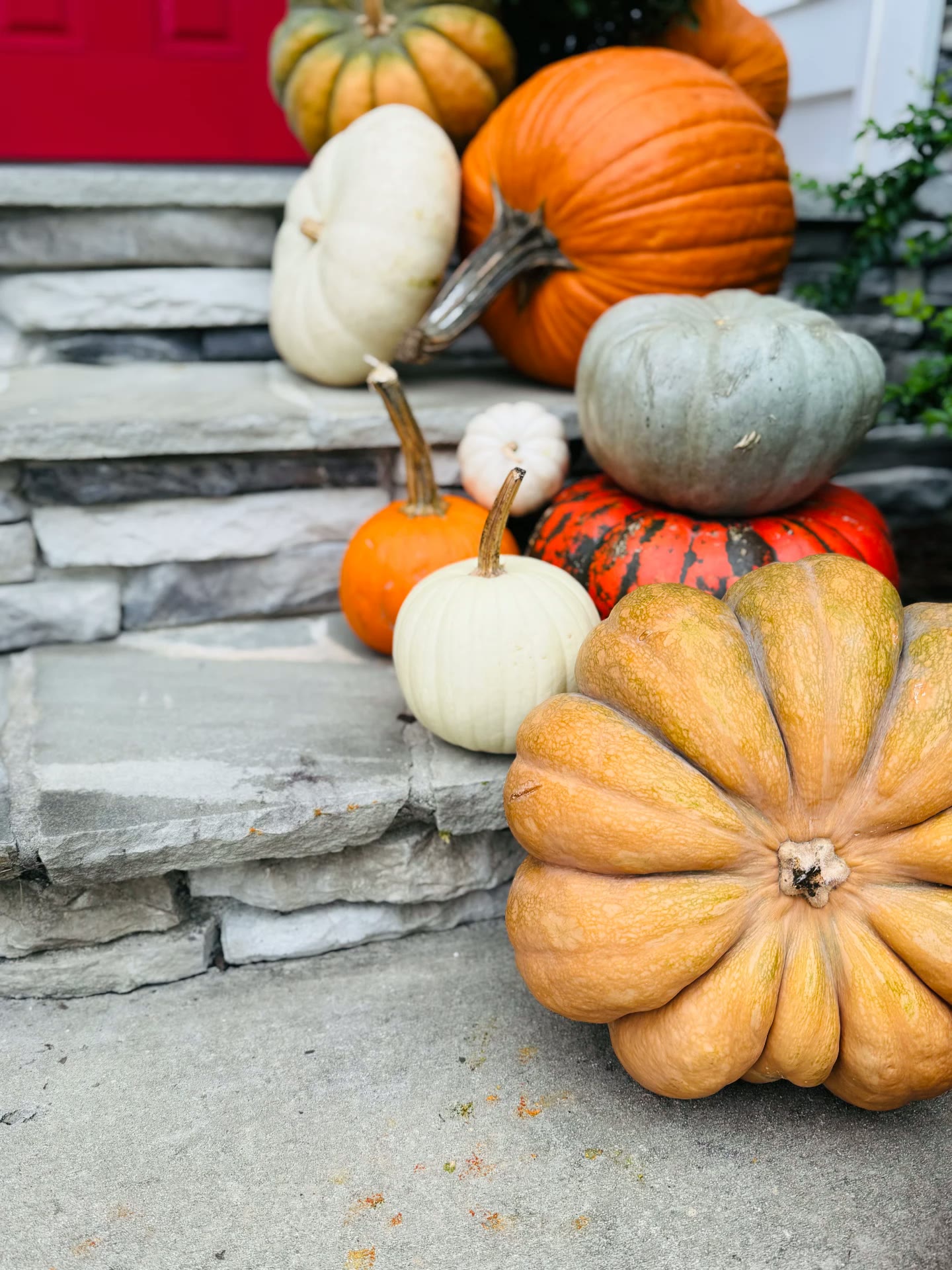 Stone steps layered with white, orange and heirloom pumpkins