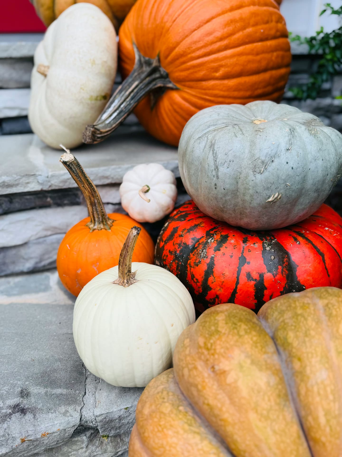 Close-up of stacked heirloom pumpkins and gourds on stone steps