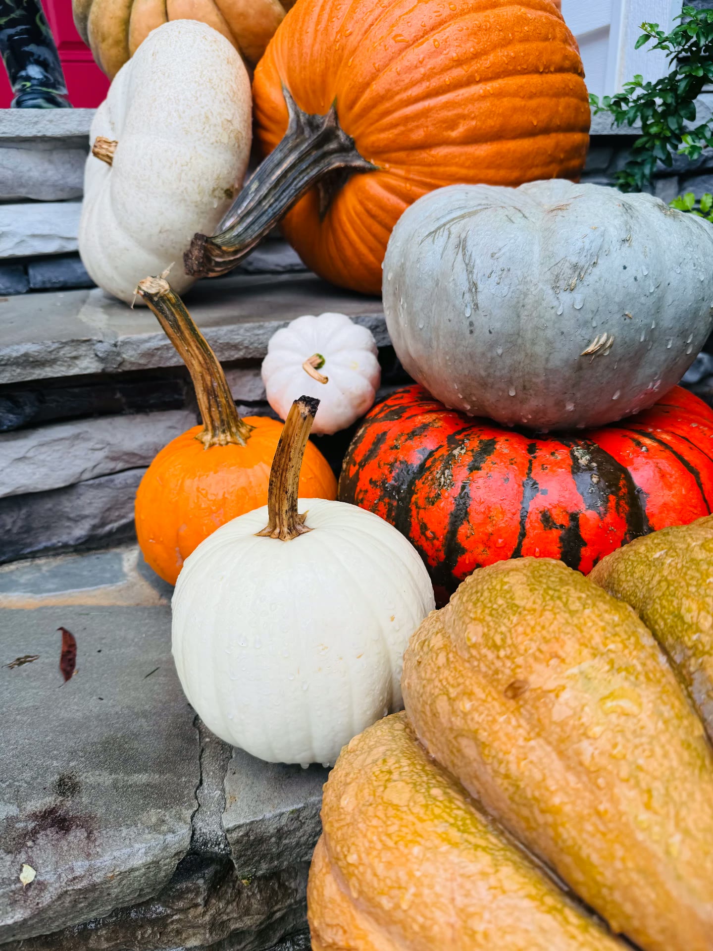 Detail of curated pumpkin mix on a decorated front porch